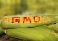 Genetically Modified Foods(GMOs) And Their Impact On Human Health