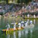 10 Different Ways to Experience the Water Jousting of France