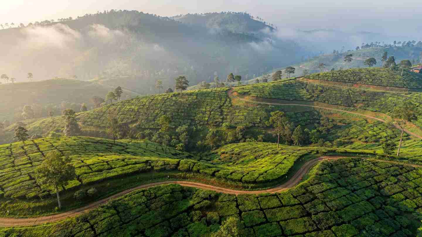places-to-visit-in-summer-in-india-for-family